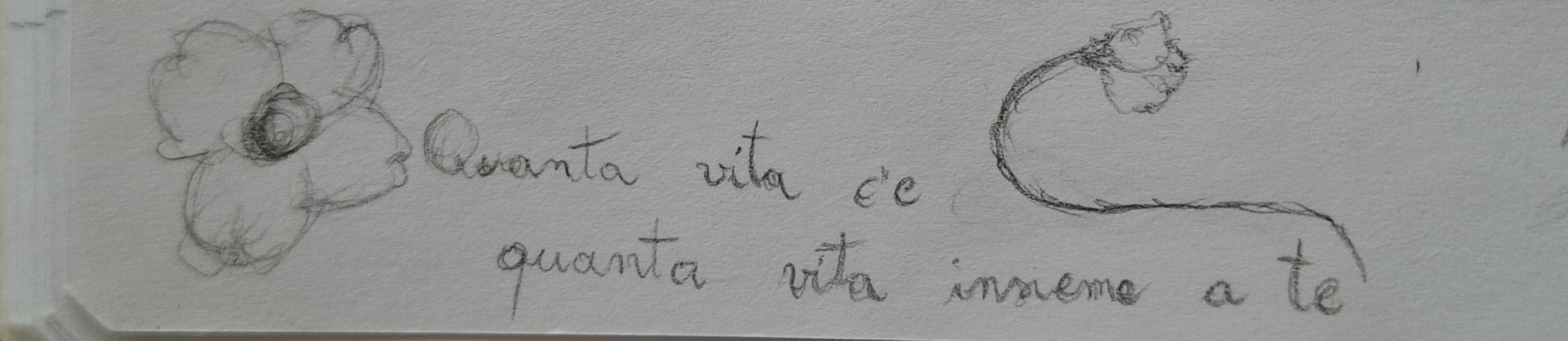 immagine artistica